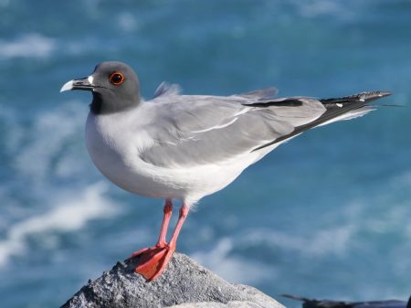 I'll just stand here