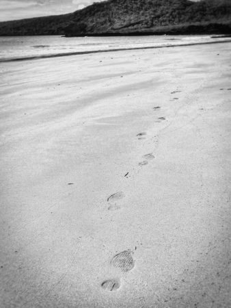 Leave only footprints